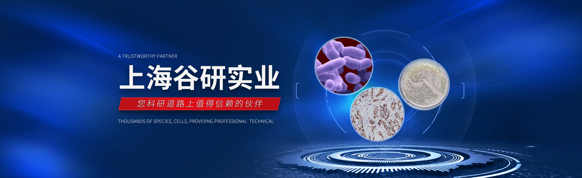 山東裕鑫重工股份有限公司